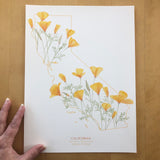 California Poppy State Print