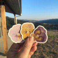 Pansy Botanical Watercolor Sticker Pack