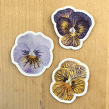 Pansy Botanical Watercolor Sticker Pack