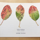 Madrone Leaves Botanical Watercolor Giclée Print