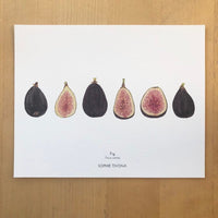 Figs Botanical Watercolor Giclée Print