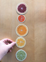 Citrus Botanical Watercolor Sticker Pack