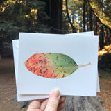 Madrone Leaves Autumn Watercolor Greeting Card