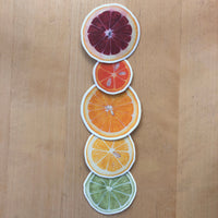 Citrus Botanical Watercolor Sticker Pack