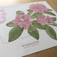 Washington State Print Rhododendrons Watercolor