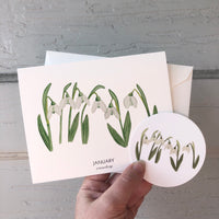 January Birth Flower Snowdrop Watercolor Greeting Card + Sticker