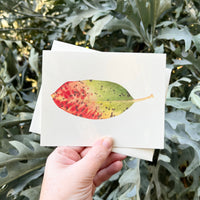 Autumn Botanicals Card Set