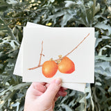 Persimmon Watercolor Greeting Card