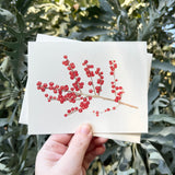 Ilex Holly Holiday Watercolor Greeting Card