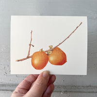 Persimmon Watercolor Greeting Card