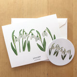 January Birth Flower Snowdrop Watercolor Greeting Card + Sticker