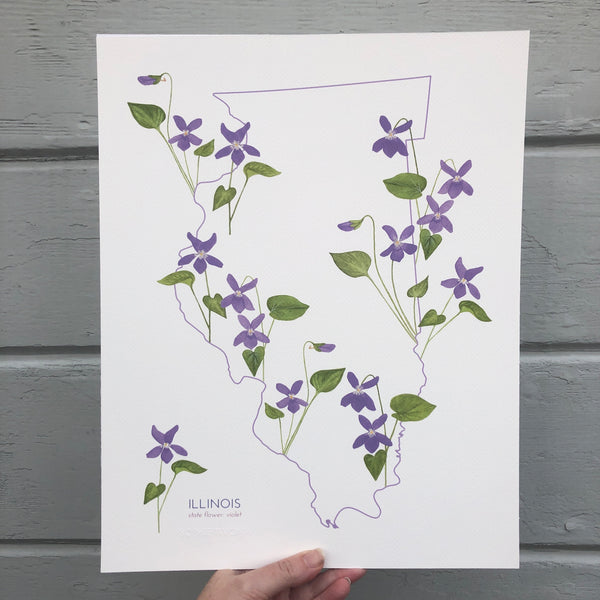 Illinois Violet State Flower Print